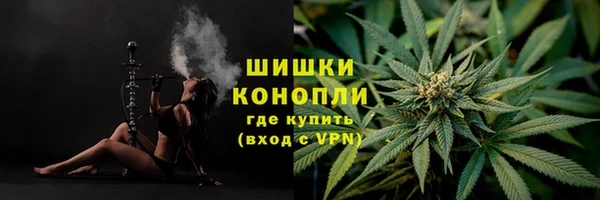 сатива Армянск